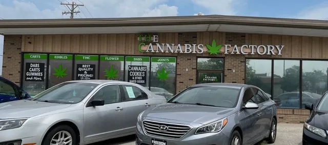 The Cannabis Factory