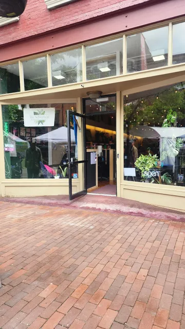 The Velvet Leaf by Anchored Wishes Gifts