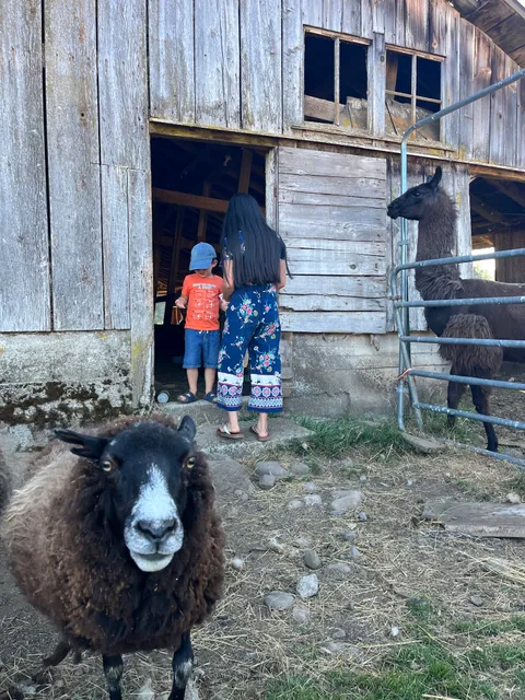 Frey Family Farm