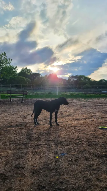 Cico Dog Park