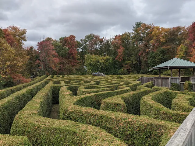 Big Green Monster Maze