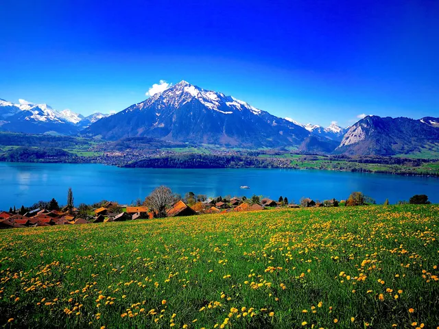 SwissHut Property Management AG