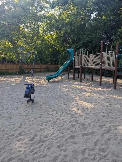 Forsythia Playground