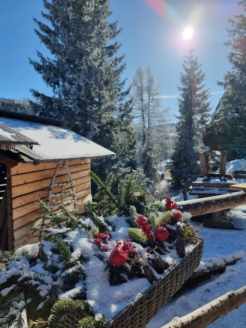 Almhütten Sprachmann Flattnitz