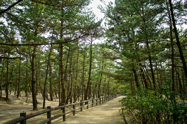 Keinomatsubara Camping Ground