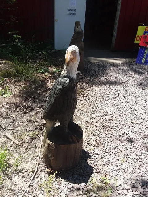 Little Big Shots Ltd