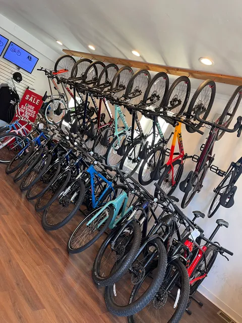 Montauk Cycle Company