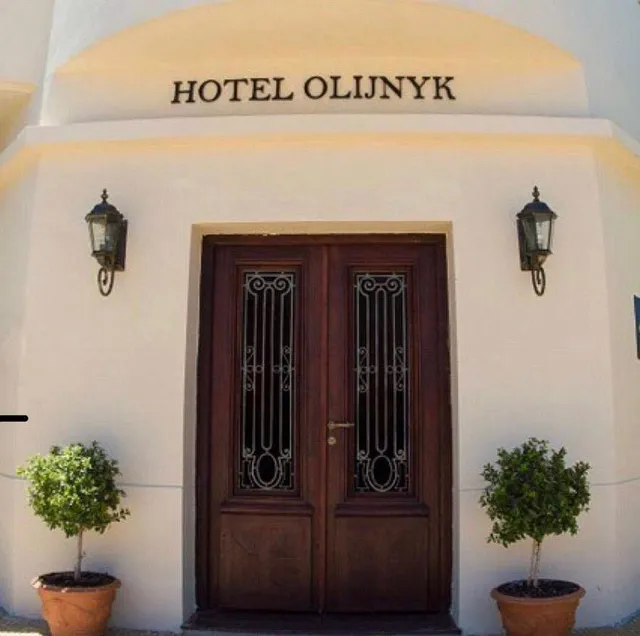 Hotel Olijnyk