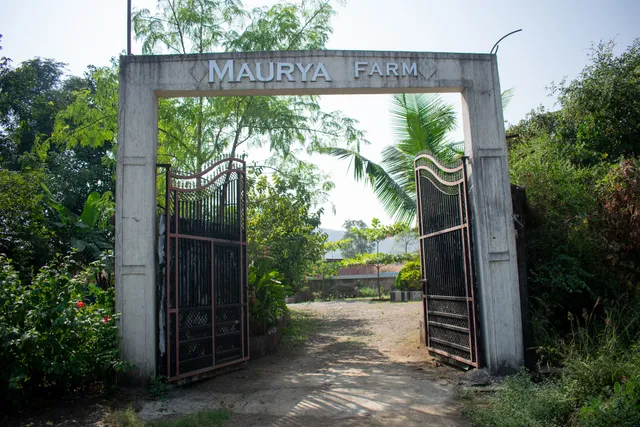 Maurya Farms