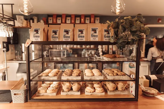 The Girl & The Raven