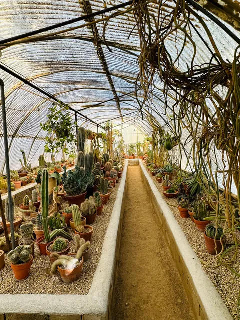The World’s First Cactarium