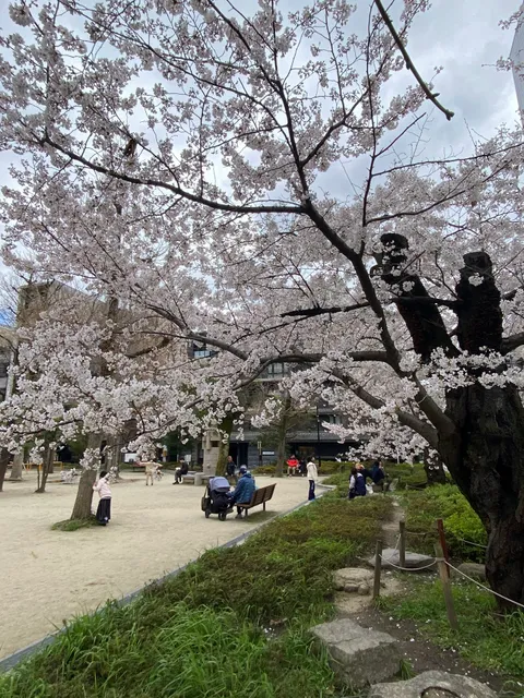 Misayama Park