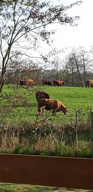 Ferienwohnungen Zur Biberburg - Dr. Schädler & Marco Schwelle