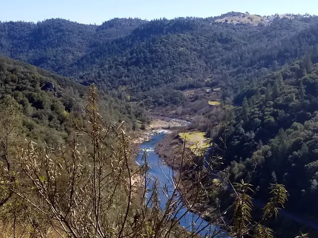 The Auburn Area Recreation And Parks District