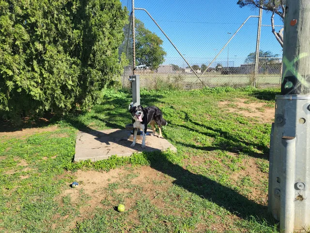 Hunter Street Dog Park (permit required)