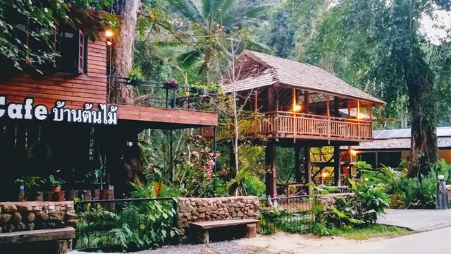 บ้านต้นไม้แม่ลาย