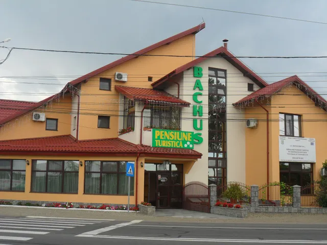 Pensiunea Bachus