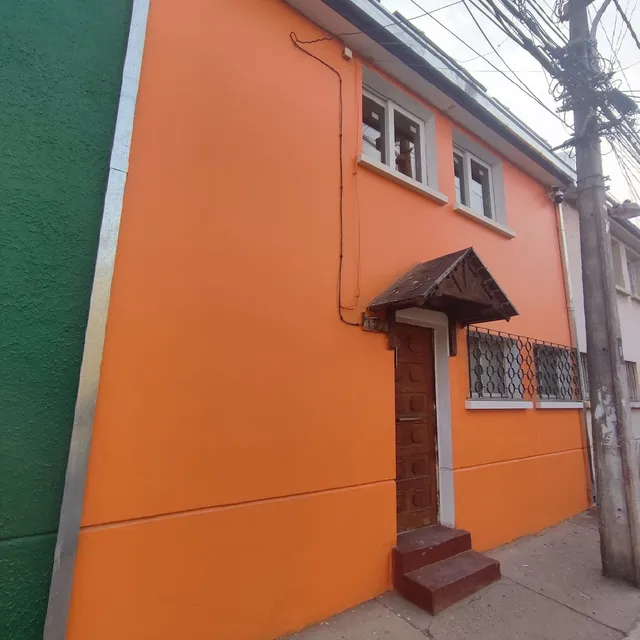 Gatos de campo, tiernos y traviesos