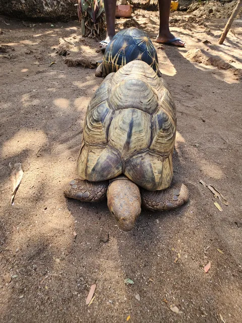 Fucuchani Natural Aquarium and Zoo