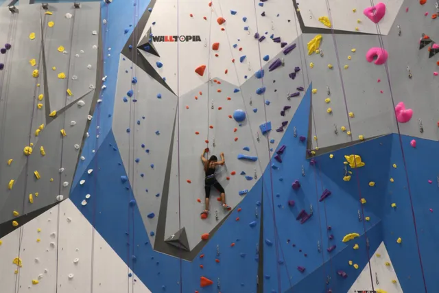 Memphis Rox Climbing + Community