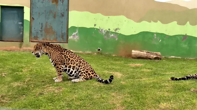 Unidad de Manejo Ambiental Fresnillo