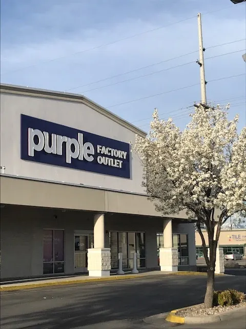 Purple - Factory Outlet