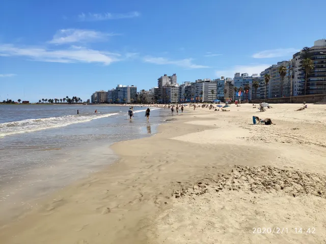 Playa Pocitos