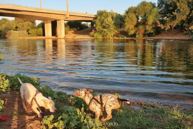 Caruso Shopping Center