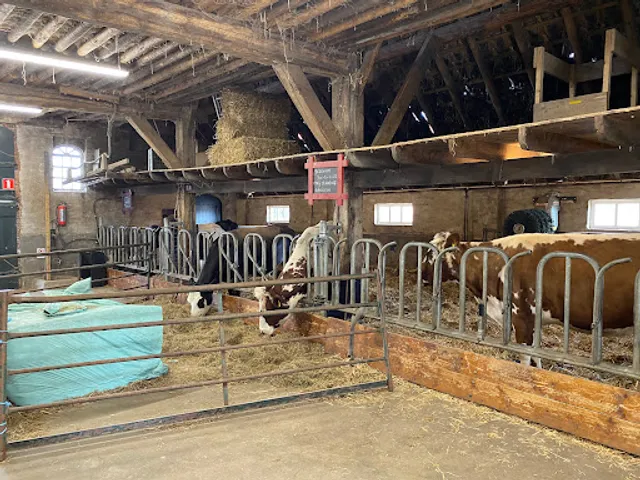 Boerderijcafé De Hooijmaat