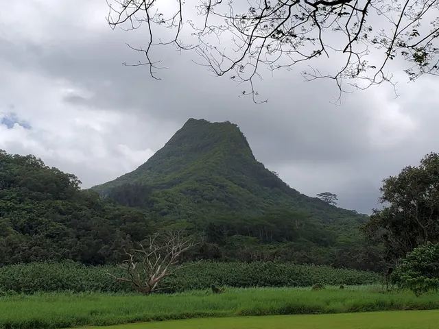 Maunawili Valley Neighborhood Park