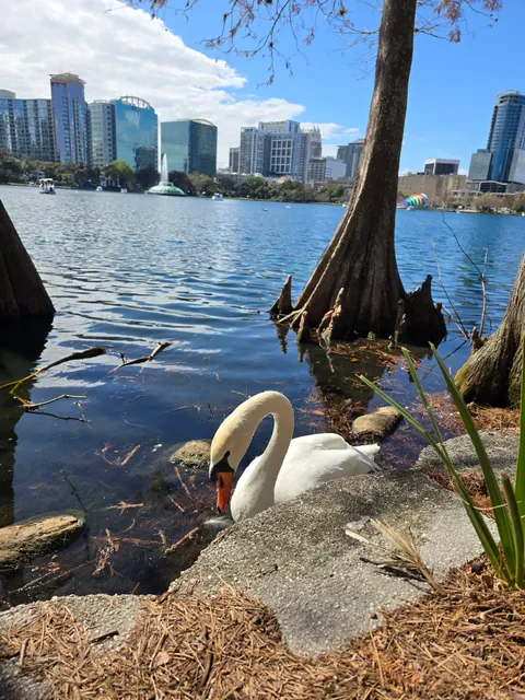 Lake Eola Park Peninsula