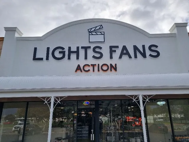 Lights Fans Action