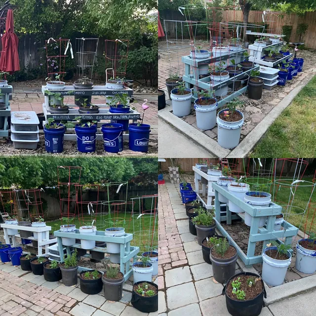 Gribaudo Farms Nursery