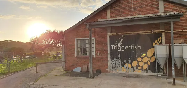 Triggerfish Brewing