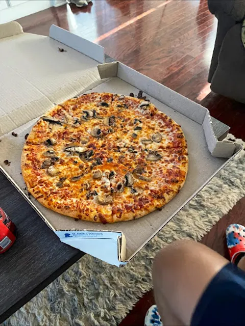 Domino's Pizza