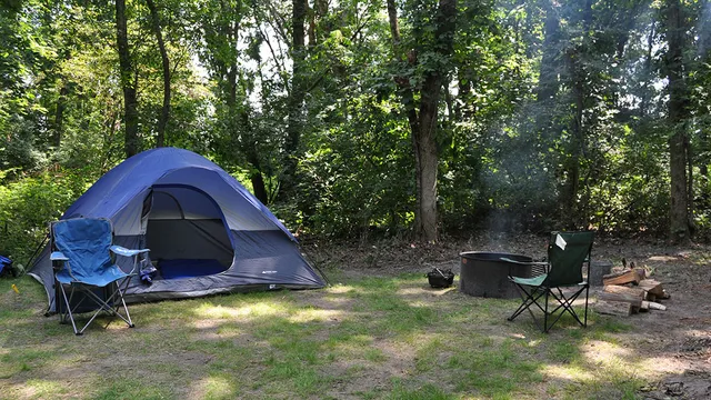 Forked Creek Preserve - Ballou Road Access