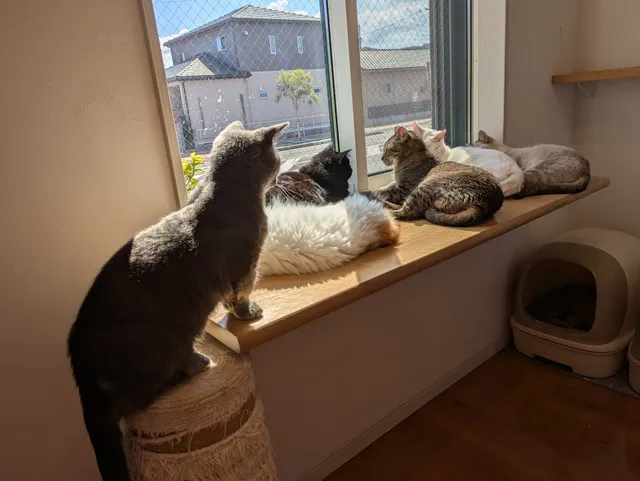 （有）まうるーる