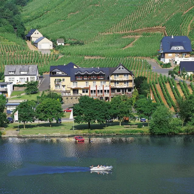 Weingut - Pension Scheid St. Aldegundishof in Sankt Aldegund / Mosel
