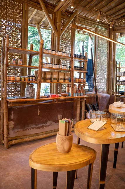 Alchemy Yoga and Meditation Center