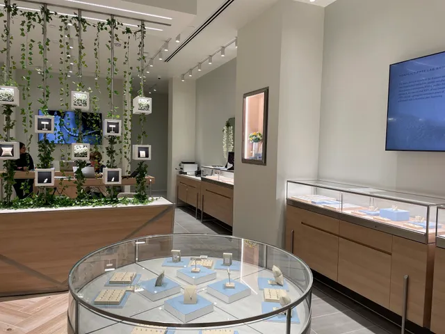 Grown Brilliance - Chicago - Woodfield