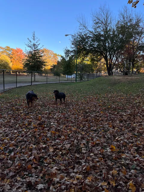 Mozley Park Dog Park