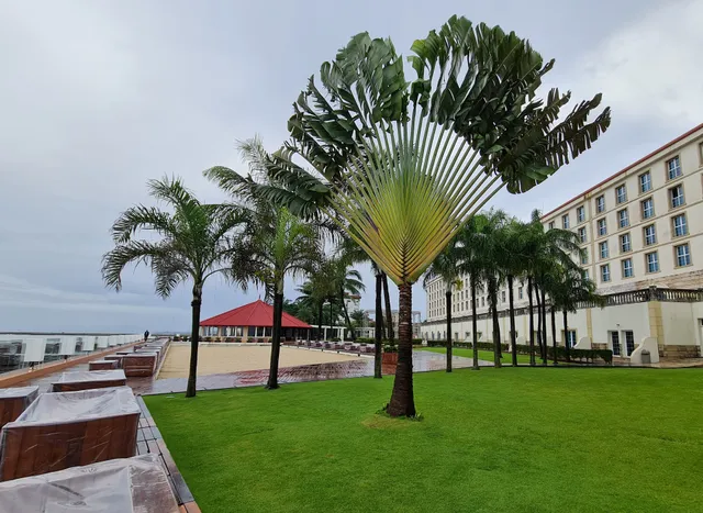 Hotel Palm Camayenne