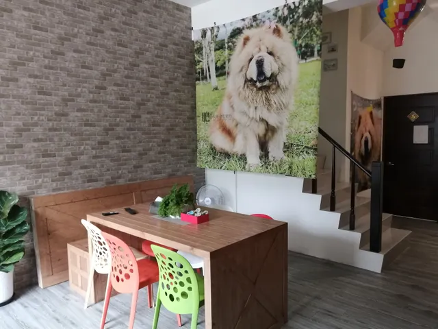 Caesarine Bed and Breakfast