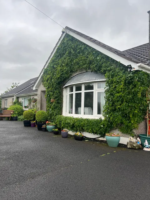 Meadow View Bed And Breakfast