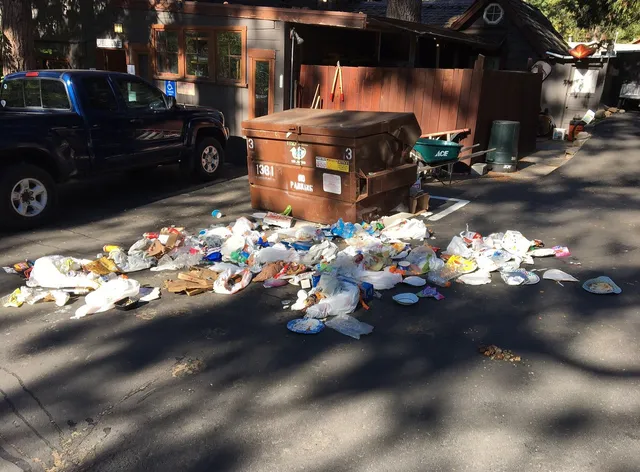 Rustic Cottage Resorts