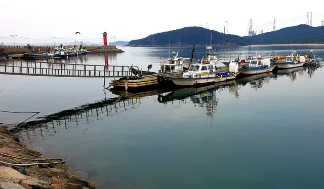 학암포 퍼스트 카라반