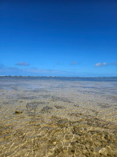 Barraca Claudia drinks