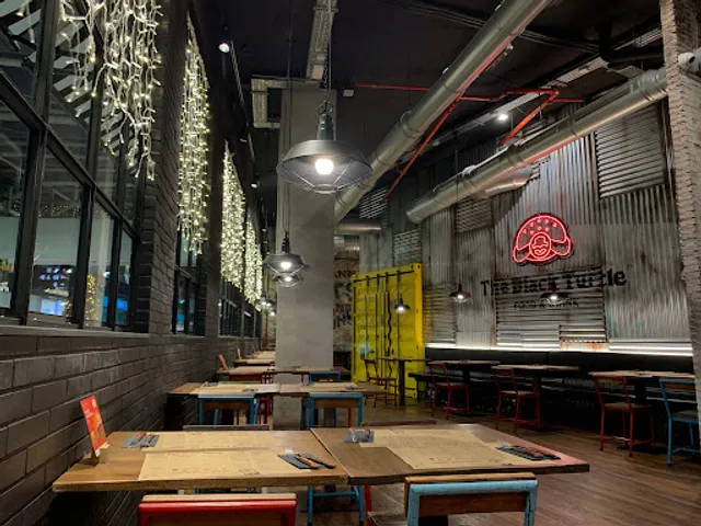 The Black Turtle - Arena