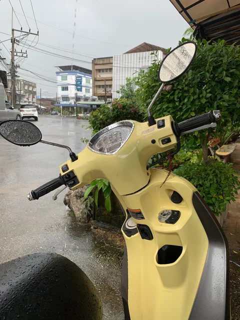 Funky Crab The River