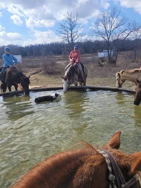 Grasslands Bed & Barn